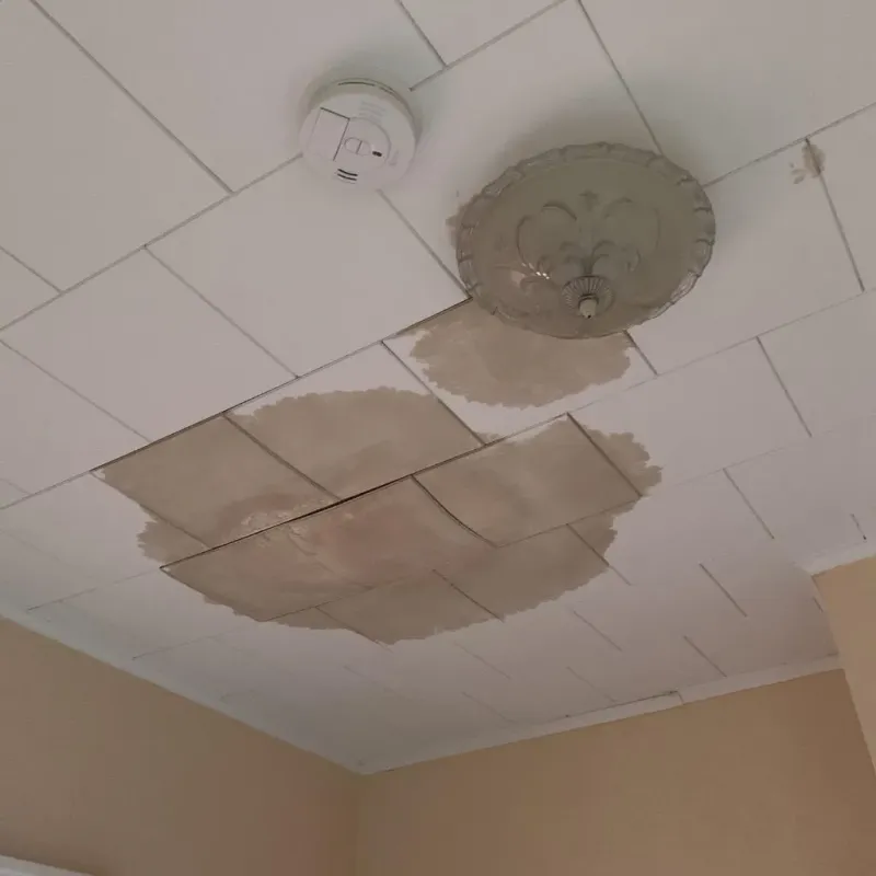 Ceiling Water Damage Repair in Palmyra, MO