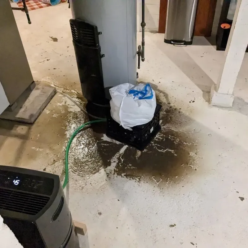 Sewage Backup Cleanup Service in Palmyra, MO